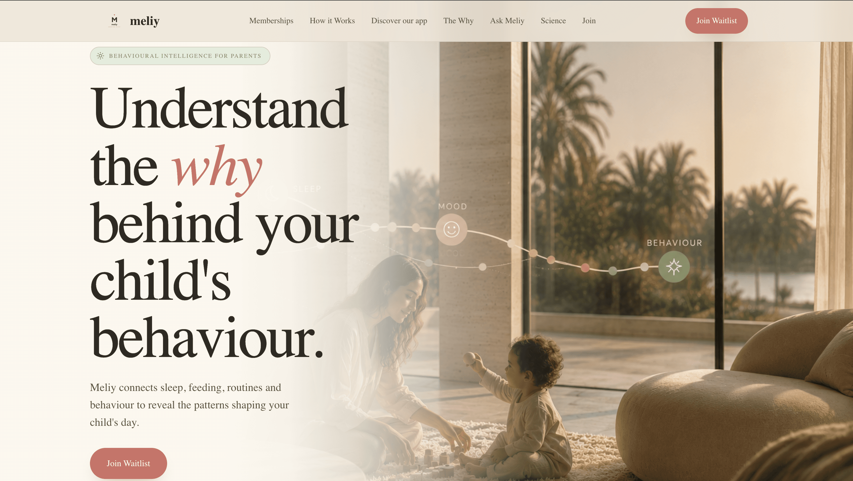 Meliy case study